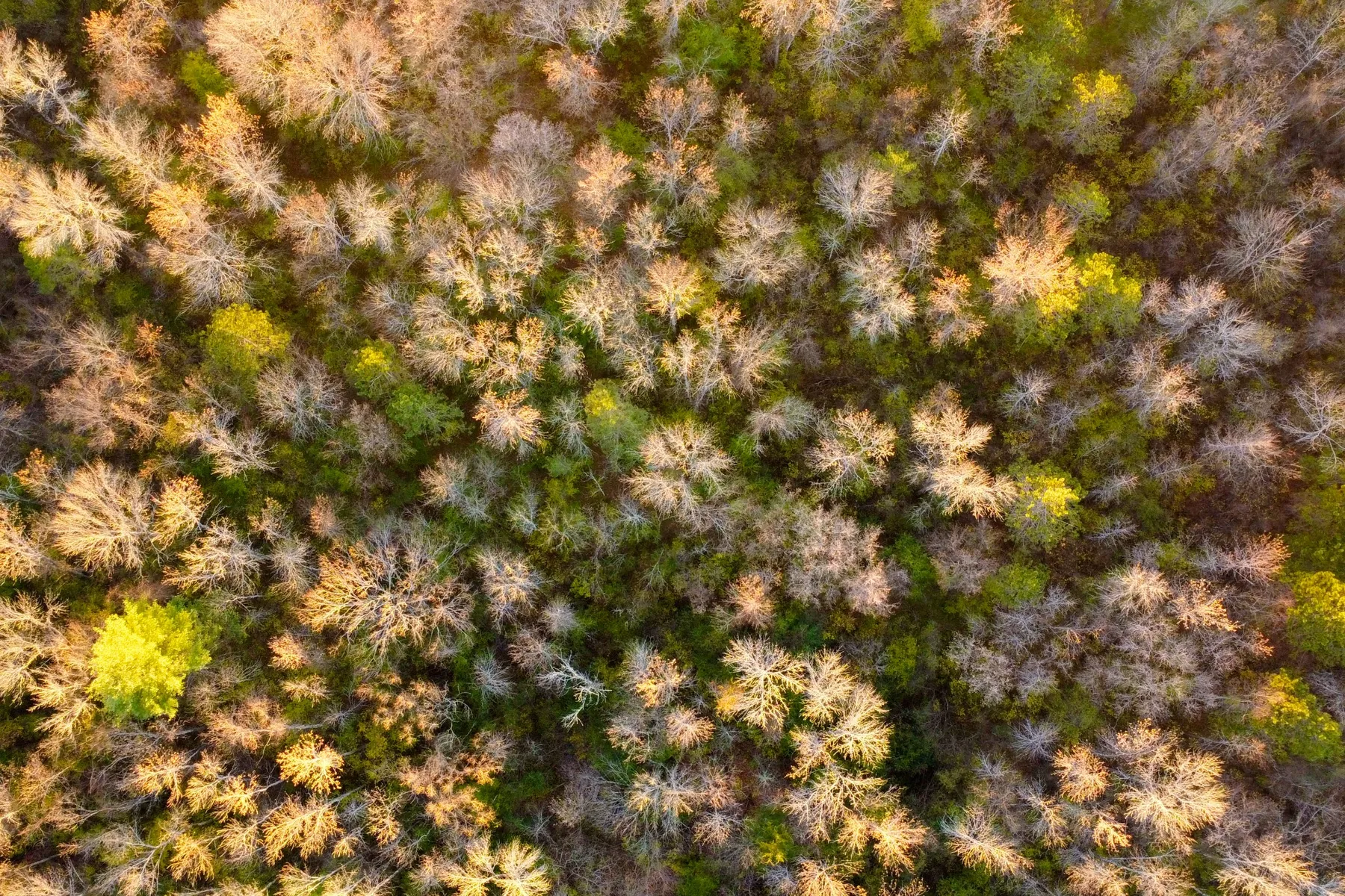 Aerials